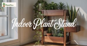 Best Indoor Plant Stand Ideas for Small Spaces