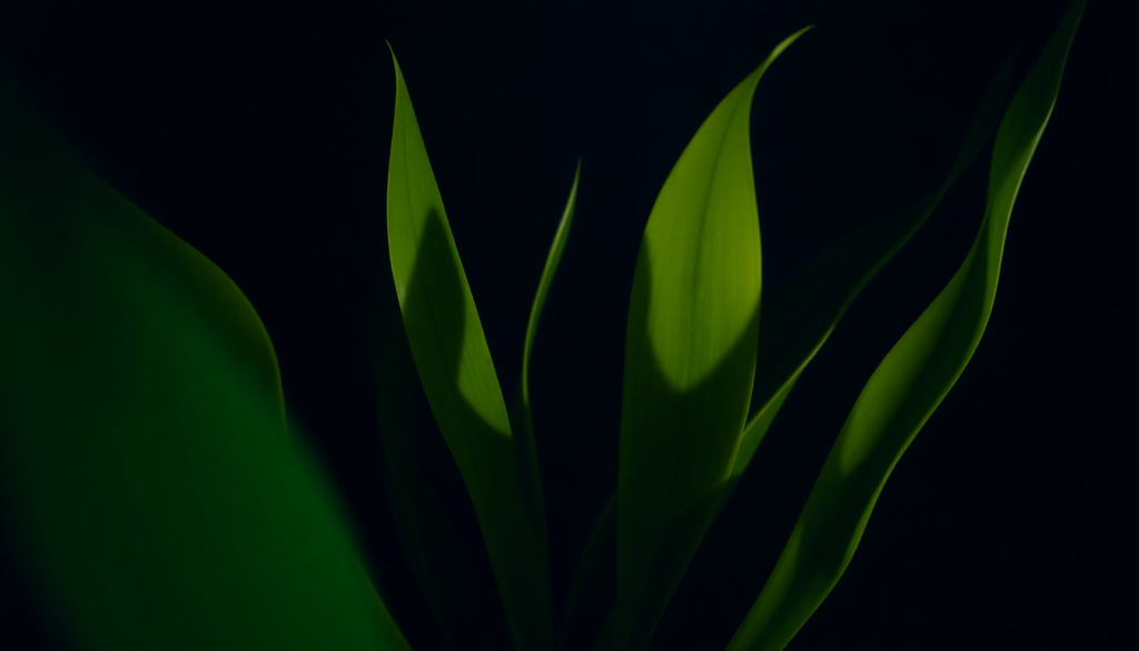 Too Little Light
